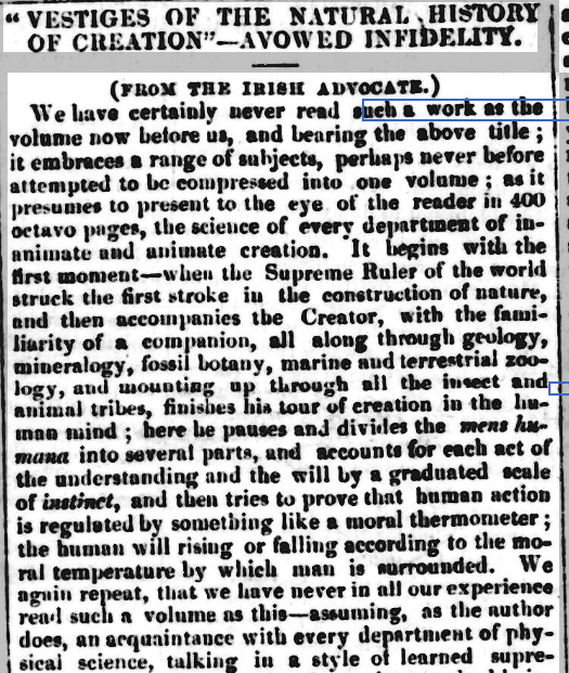 Original Newspaper Clipping